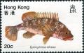 Colnect-1256-036-Hong-Kong-Grouper-Epinephelus-akaara.jpg