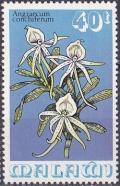 Colnect-1732-889-Angraecum-conciferum.jpg