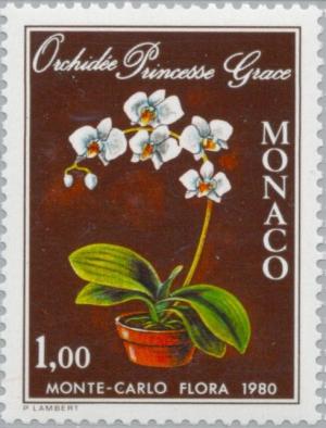 Colnect-148-696-Orchid-Princess-Grace--by-Arthur-Freed-Orchids.jpg