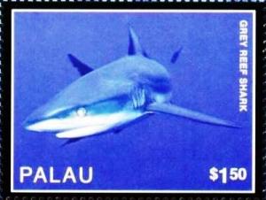 Colnect-4856-887-Grey-reef-shark.jpg