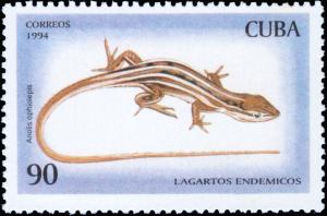 Colnect-5505-491-Five-striped-Grass-Anole-Anolis-ophiolepis.jpg