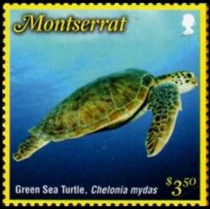Colnect-5612-240-Green-Sea-Turtle.jpg