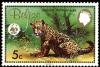 Colnect-1631-066-Jaguar-Panthera-onca.jpg