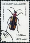 Colnect-2035-579-Common-Asparagus-Beetle-Crioceris-asparagi.jpg