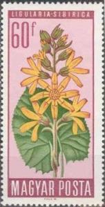 Colnect-508-140-Ligularia-sibirica.jpg