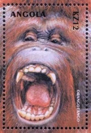 Colnect-5200-372-Orangutan-Pongo-pygmaeus.jpg