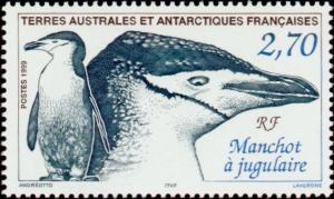 Colnect-886-984-Chinstrap-Penguin-Pygoscelis-antarcticus.jpg