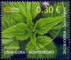 Colnect-1527-134-Stinging-nettle-Urtica-dioica.jpg
