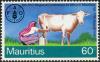 Colnect-2422-060-Woman-Milking-Cow-Bos-primigenius-taurus.jpg