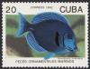 Colnect-852-899-Blue-Tang-Acanthurus-coeruleus.jpg