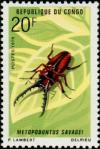 Colnect-992-390-African-Red-Stag-Beetle-Metopodontus-savagei.jpg