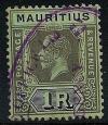 STS-Mauritius-4-300dpi.jpeg-crop-272x313at288-1364.jpg