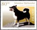 Colnect-423-051-Iceland-Dog-Canis-lupus-familiaris.jpg