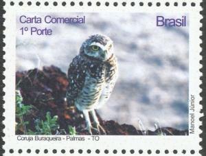 Colnect-3422-834-Burrowing-Owl-Athene-cunicularia.jpg
