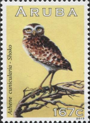 Colnect-6279-125-Burrowing-Owl-Athene-cunicularia.jpg