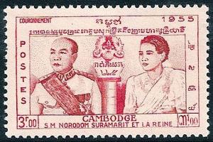 STS-Cambodia-2-300dpi.jpg-crop-495x330at309-813.jpg