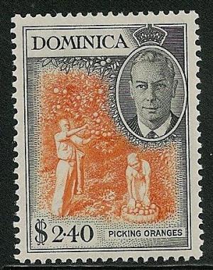 STS-Dominica-4-300dpi.jpeg-crop-360x456at25-2304.jpg