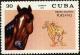 Colnect-4828-602-Pursang-Equus-ferus-caballus.jpg