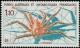 Colnect-886-087-King-Crab-Lithodes-sp.jpg