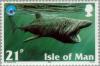 Colnect-125-176-Basking-Shark-Cetorhinus-maximus.jpg