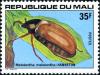 Colnect-2475-829-Common-Cockchafer-Melolontha-melolontha.jpg