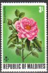 Colnect-838-384-Polyantha-Rose-Rosa-polyantha.jpg