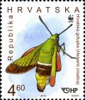 Colnect-6335-369-Olive-Bee-Hawk-Moth-Hemaris-croatica.jpg
