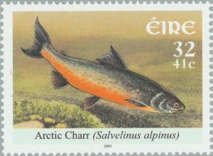 Colnect-129-875-Arctic-Charr-Salvelinus-alpinus.jpg