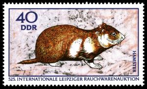 Colnect-1978-240-European-Hamster-Cricetus-cricetus.jpg