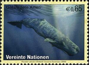 Colnect-611-540-Sperm-Whale-Physeter-catodon.jpg
