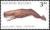 Colnect-454-174-Sperm-Whale-Physeter-catodon.jpg