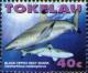 Colnect-1743-349-Blacktip-Reef-Shark-Carcharhinus-melanopterus.jpg