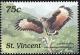 Colnect-1755-560-Common-Black-Hawk%C2%A0Buteogallus-anthracinus.jpg