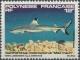 Colnect-3222-549-Blacktip-Reef-Shark-Carcharhinus-melanopterus.jpg