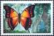 Colnect-4373-799-Charaxes-candippe.jpg