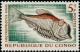 Colnect-950-770--Greater-Silver-Hatchetfish-Argyropelecus-gigas.jpg