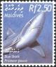 Colnect-961-877-Blue-Shark-Prionace-glauca.jpg
