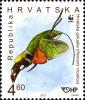 Colnect-6335-366-Olive-Bee-Hawk-Moth-Hemaris-croatica.jpg