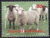 Colnect-4778-934-Sheep-of-Macedonia.jpg