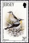 Colnect-6126-327-Northern-Wheatear-Oenanthe-oenanthe.jpg
