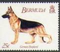 Colnect-1338-907-German-Shepherd-Canis-lupus-familiaris.jpg