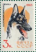 Colnect-4136-460-East-European-Shepherd-Canis-lupus-familiaris.jpg