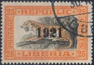 Colnect-1670-000-Leopard-Panthera-pardus---Overprint-1921.jpg
