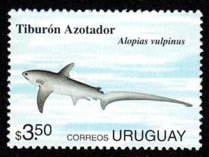 Colnect-2487-293-Common-Tresher-Shark-Alopias-vulpinus.jpg