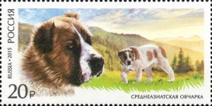 Colnect-2699-724-Central-Asian-Shepherd-Canis-lupus-familiaris.jpg