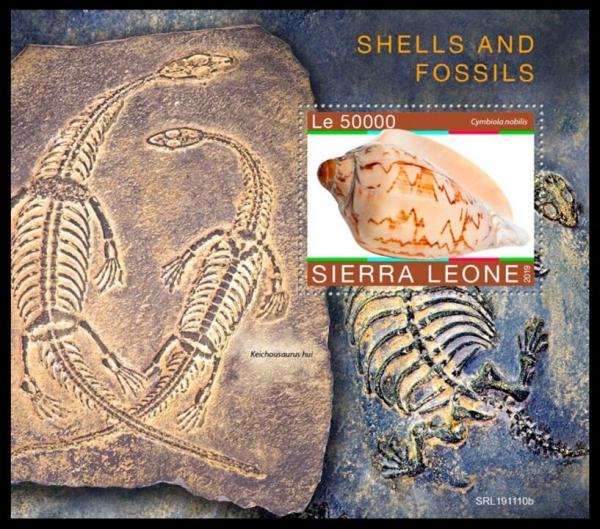 Colnect-6303-624-Shells-and-Fossils.jpg