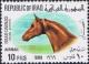 Colnect-1536-110-Horse--s-Head-Equus-ferus-caballus.jpg