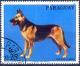 Colnect-2321-619-German-Shepherd-Canis-lupus-familiaris.jpg