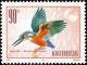 Colnect-661-604-Common-Kingfisher-Alcedo-atthis-ssp-ispida.jpg