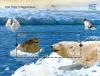 Colnect-1415-073-Ringed-Seal-Phoca-hispida-Polar-Bear-Ursus-maritimus.jpg
